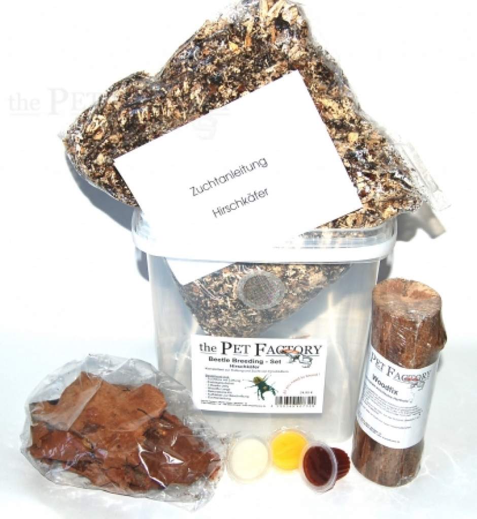 Beetle Breeding Set -Für Käfer